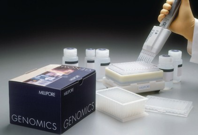 探索精準生物技術 上海博研生物工程研究中心人透明質酸結合蛋白(HABP)ELISA試劑盒的優質解析